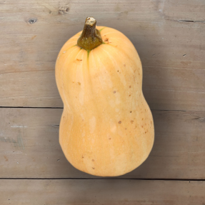 Courge Butternut du Domaine...