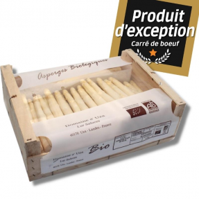 Asperge blanche des Landes... Asperge blanche des Landes...