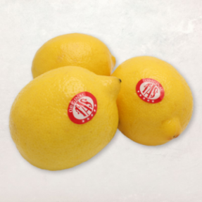Citron jaune Tas x3
