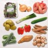 Carré Box Assortiment de légumes