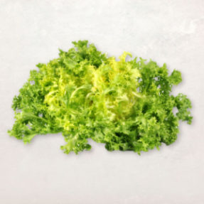 Salade frisée fine