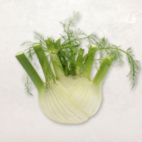 Fenouil