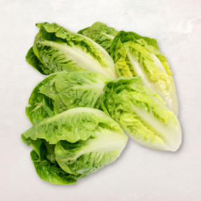 Salade Sucrine x6 450g
