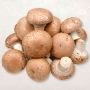 Champignon de Paris crème 500g