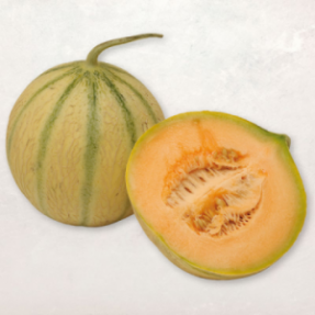 Melon charentais x1 Melon charentais x1
