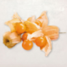 Physalis (amour en cage) ±100g