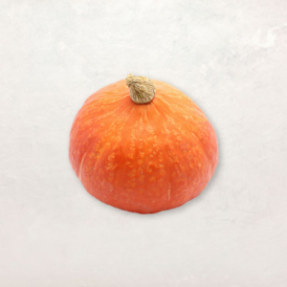 Potimarron