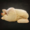 Poularde de Bresse AOP...