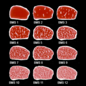 Entrecôte de boeuf Wagyu...