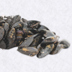Moule de bouchot Label...