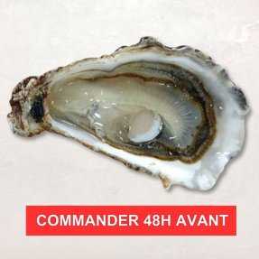 Huîtres Fines de Bretagne...