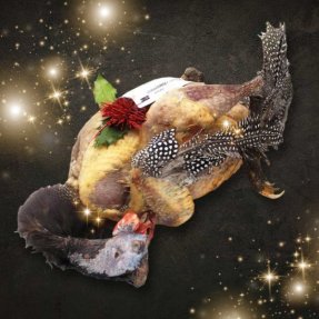 Pintadou du Gers (pintade...