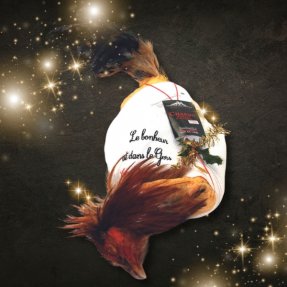 Chapon du Gers "Bastide"...