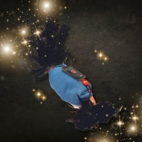 Chapon gascon prêt à cuire...