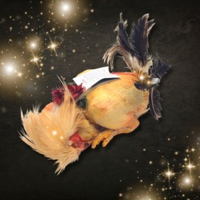 Mini chapon du Gers prêt à...