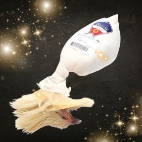 Chapon de Bresse roulé AOP...