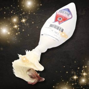 Poularde de Bresse roulée...