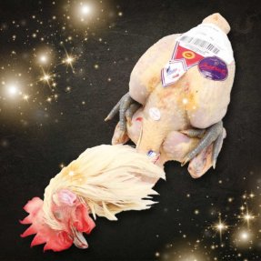 Poulet de Bresse AOP PAC...