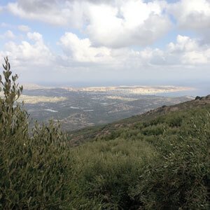 Huile d'olive de Sitia AOP - Nutricreta