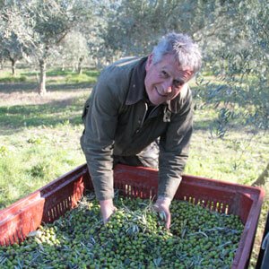 Huiles d'olives françaises Château de Panisse