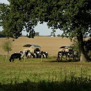 La Ferme de Viltain