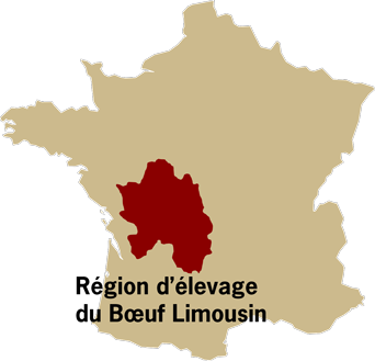 Boeuf de race Limousine carte d'élevage