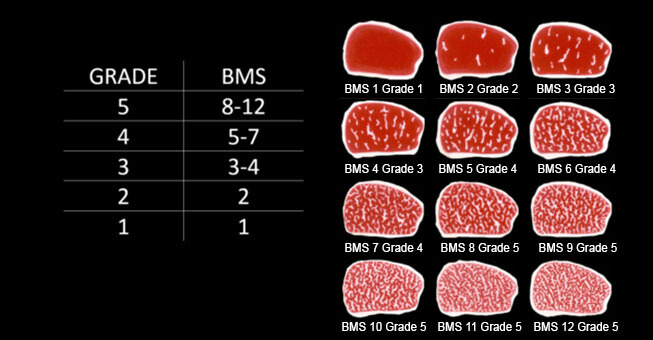 Boeuf Kobe Wagyu - Grades de marbrure de la viande de boeuf Boeuf Kobe Prix Boeuf Wagyu Prix - Grades de marbrure de la viande de boeuf