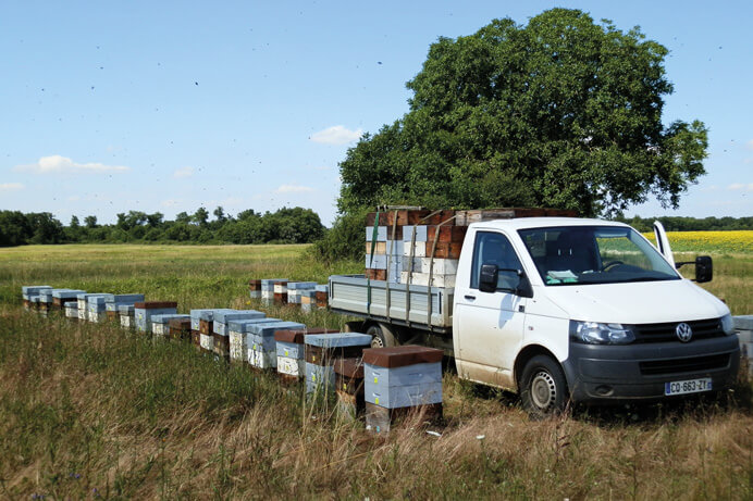 Rucher Billard transport des ruches