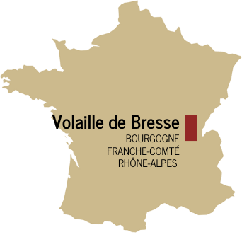 Poularde de Bresse carte