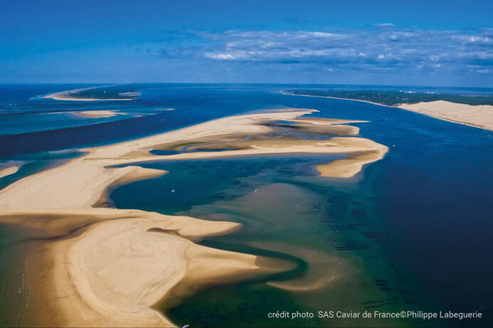 Bassin d'Arcachon