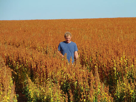 Sa Majesté la Graine champ producteur